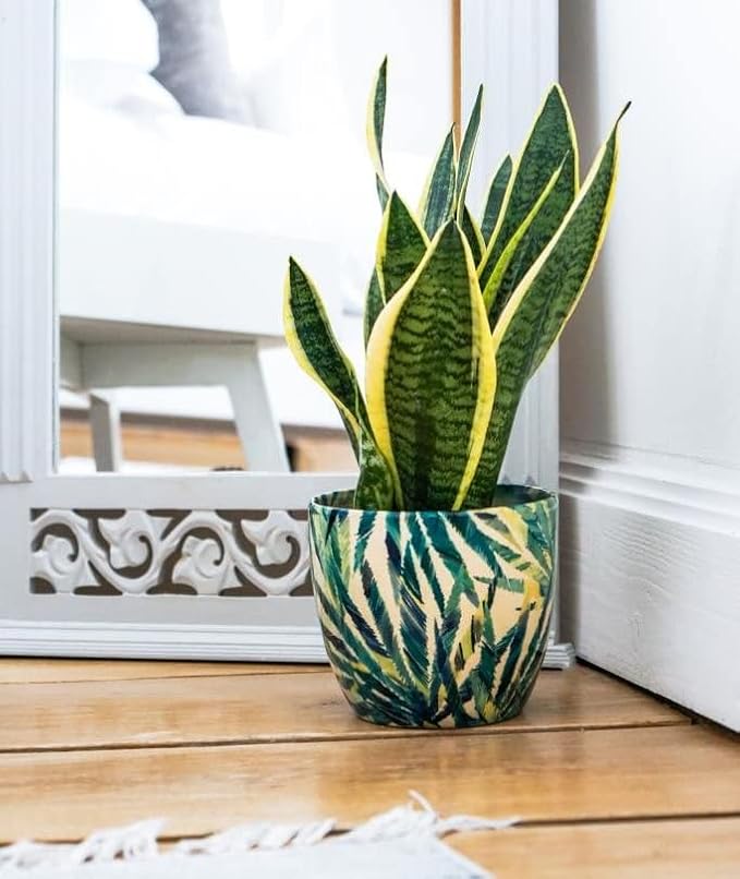 Monza Botanical Fern Indoor Planter Plant Pot Flower Pot, Planter for Indoor Plants (Botanical Fern, 6")