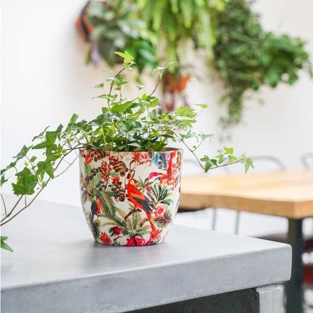 Monza Tropical Parrot Indoor Planter Plant Pot Flower Pot, Planter for Indoor Plants (Tropical Parrot, 6")