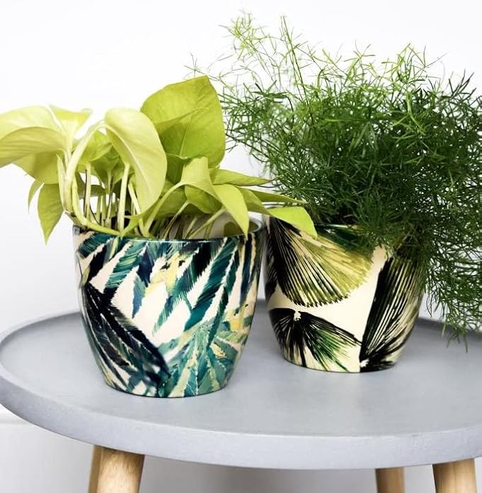 Monza Botanical Fern Indoor Planter Plant Pot Flower Pot, Planter for Indoor Plants (Botanical Fern, 6")