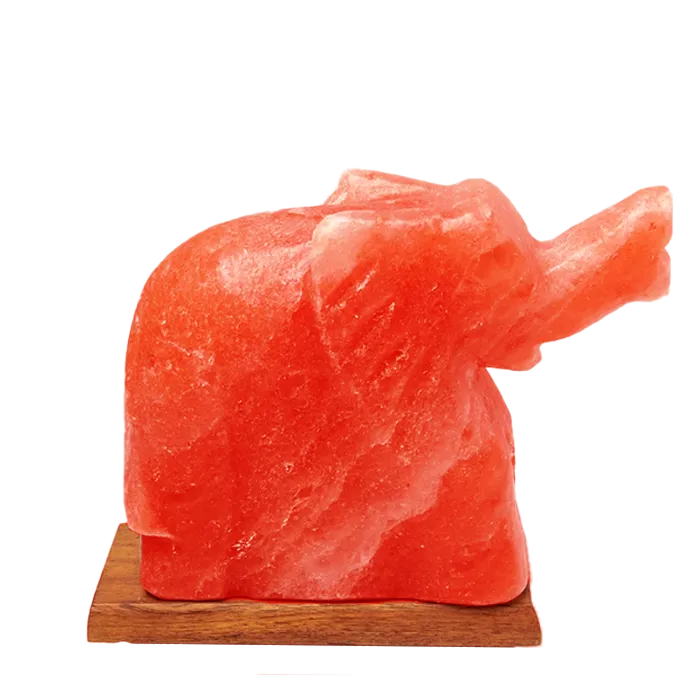 Elephant Shape