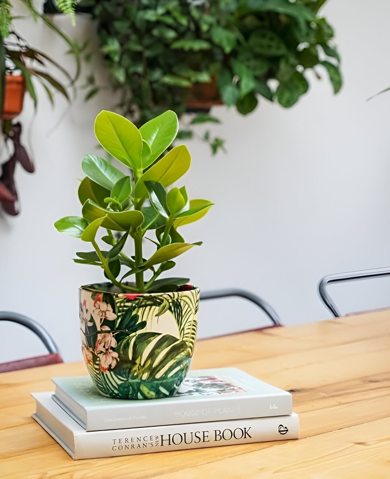 Monza Tropical Floral Indoor Planter Plant Pot Flower Pot, Planter for Indoor Plants (Tropical Floral, 6")