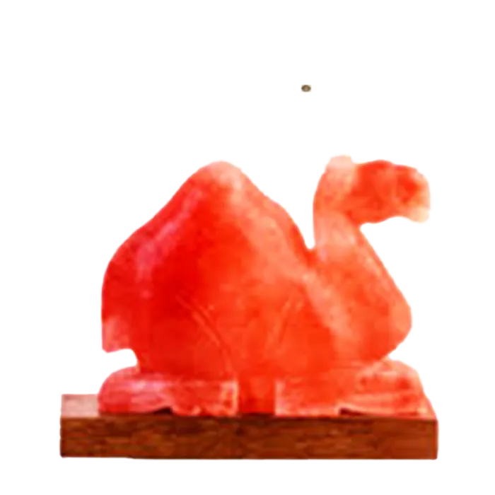 Camel Shape