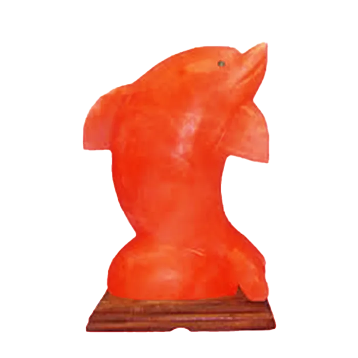 Dolphin Shape