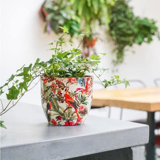 Monza Tropical Parrot Indoor Planter Plant Pot Flower Pot, Planter for Indoor Plants (Tropical Parrot, 6")