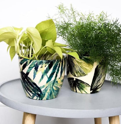 Monza Botanical Fern Indoor Planter Plant Pot Flower Pot, Planter for Indoor Plants (Botanical Fern, 6")