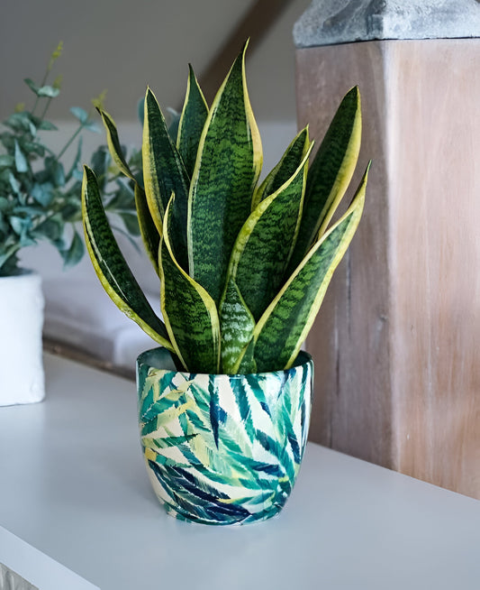 Monza Botanical Fern Indoor Planter Plant Pot Flower Pot, Planter for Indoor Plants (Botanical Fern, 6")