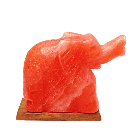 Elephant Shape