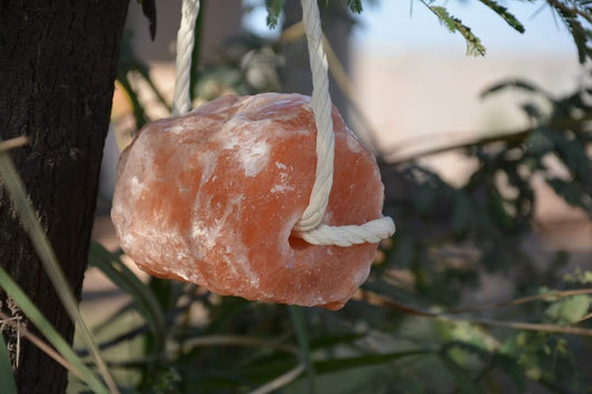 Animal Lick Salt