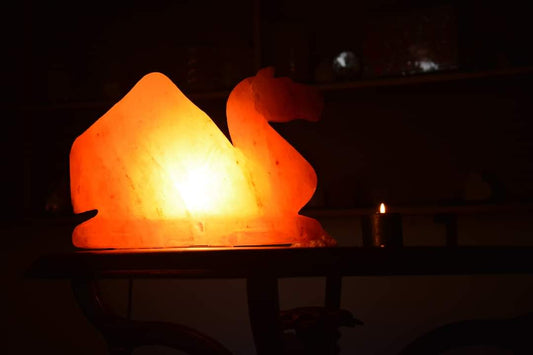 Swan Himalayan Salt Lamp – Radiant Glow Sphere