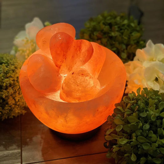 Bowl Shape Lamp