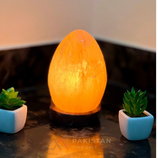 Egg Oval Shape Pink Salt Lamp