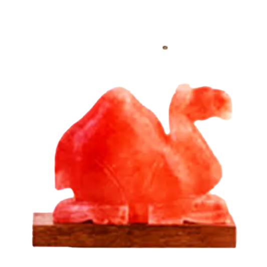 Camel Shape
