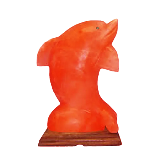 Dolphin Shape
